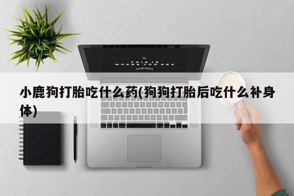 推荐个卖堕胎药的微信小鹿狗打胎吃什么药(狗狗打胎后吃什么补身体)