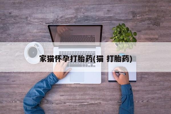 推荐个卖堕胎药的微信家猫怀孕打胎药(猫 打胎药)